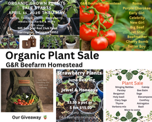 Plants & Pouches