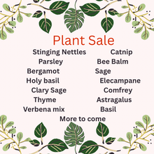 Plants & Pouches
