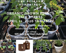Plants & Pouches