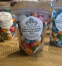 Homestead Freeze Dried Goodies-Space Head Crunch Bites