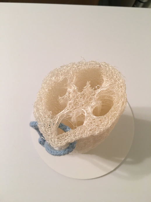 Natural Loofah w/ Rope - Scentsbyeme Bath & Body Care