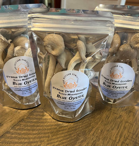 Homestead freeze dried goodies sliced Blue Oyster mushrooms