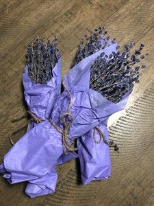 Fresh Lavender Bundle