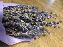 Fresh Lavender Bundle